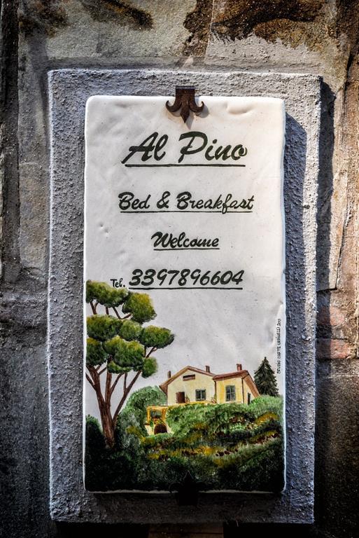 Al Pino B&B Grottaferrata Bagian luar foto